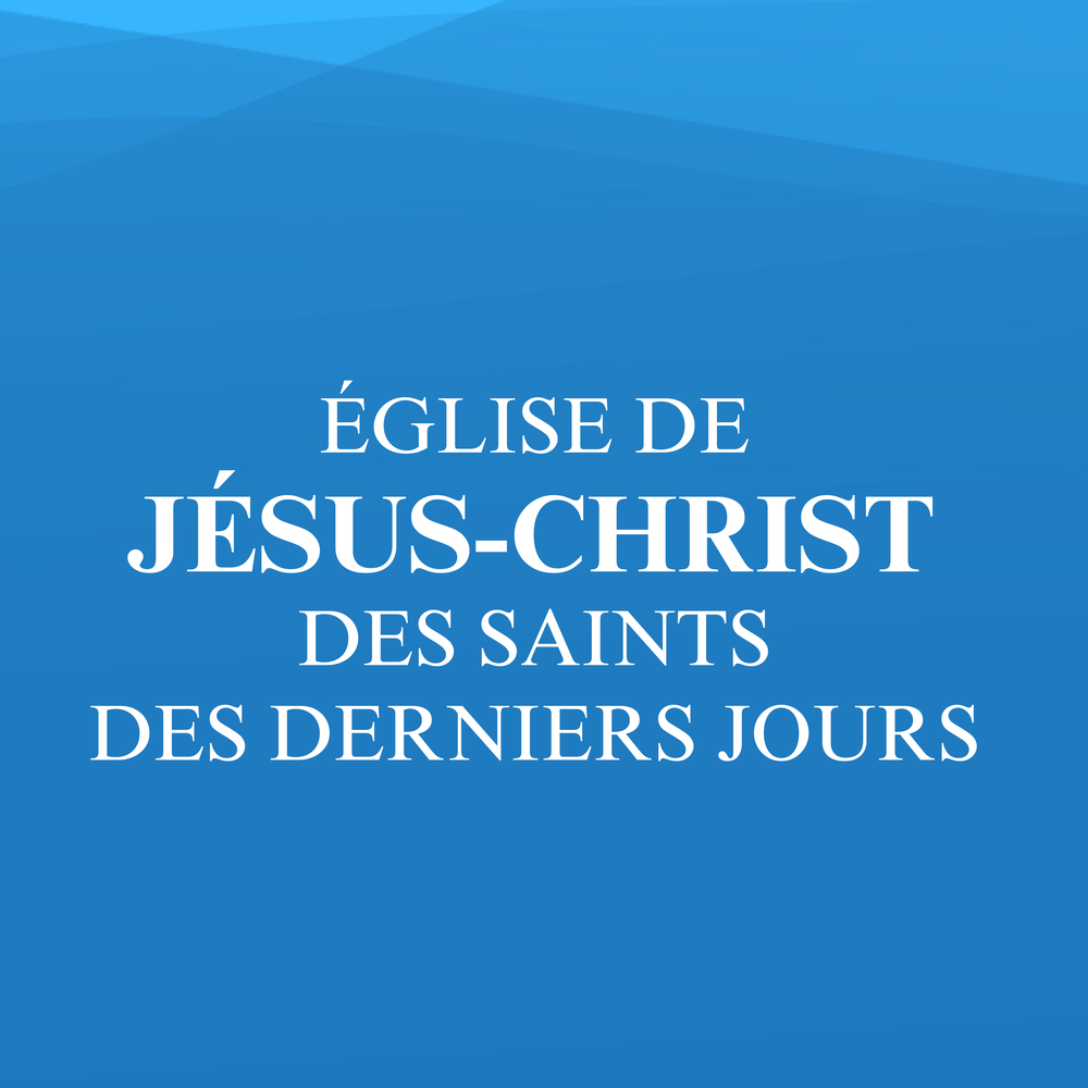 logo 23